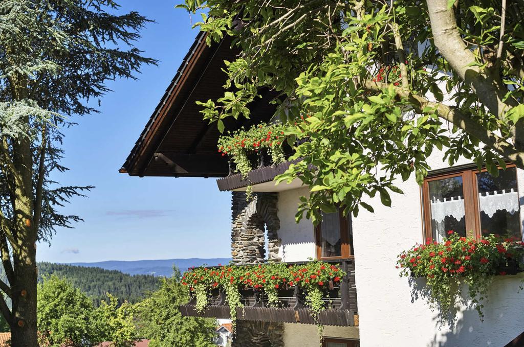 Ferienhaus Fidelis Bodenmais Luaran gambar